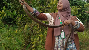 সাপের ভয় জয় করে প্রাণ বাঁচানোর নেশায় মিতু