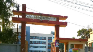 ছেলেকে বাঁচাতে গিয়ে মায়ের মৃত্যু, দুজনকেই হারাল পরিবার