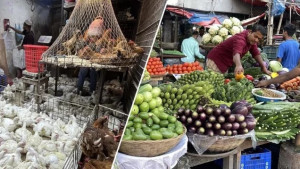 অপ্রতিরোধ্য বেজাল কারবারিরা