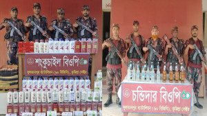 সীমান্তে সাড়ে ৮৫ লাখ টাকার ভারতীয় পণ্য জব্দ বিজিবির