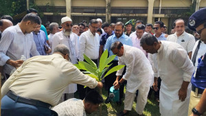 চাঁদপুর ডিসি কার্যালয় প্রাঙ্গণে বৃক্ষরোপণ হুইপ আশ্রাফ উদ্দিনের