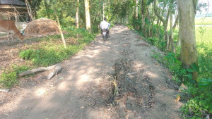 কাজীপুরে চরাঞ্চলে কাঁচা সড়কের বেহাল দশা, চরম ভোগান্তি এলাকাবাসীর