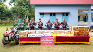 বিজিবির অভিযানে ১৭ লাখ টাকার কসমেটিকস জব্দ