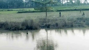সীমান্তে পুশইনচেষ্টা প্রতিহত, গুলি-সাউন্ড গ্রেনেড বিস্ফোরণ