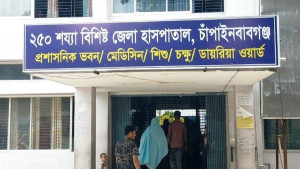চাঁপাইনবাবগঞ্জে ডেঙ্গুর প্রকোপ