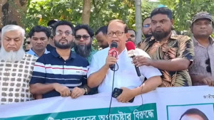 পাটওয়ারীকে যেখানে পাওয়া যাবে, গণধোলাই: বিএনপি নেতা