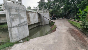 দেড় কোটি টাকার সেতু, ওঠানামায় ভরসা মই