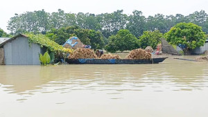 পদ্মায় স্বস্তি, মহানন্দা-পুনর্ভবায় বাড়ছে পানি