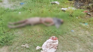 রূপগঞ্জে একটি কারখানার সামনে থেকে মরদেহটি উদ্ধার