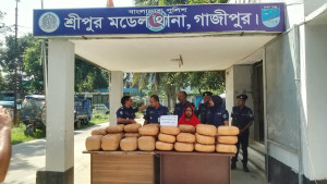শ্রীপুরে ১৫ লাখ টাকার গাঁজা উদ্ধার, নারী গ্রেপ্তার, স্বামী পলাতক