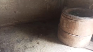 দুই কৃষকের গোয়ালঘর খালি, চুরি ৬ গরু-খাসি