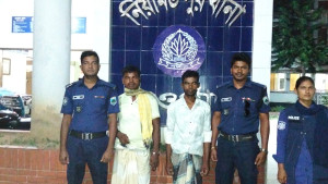 নিয়ামতপুরে ৫৫০ লিটার চোলাইমদসহ ৩ জন গ্রেপ্তার