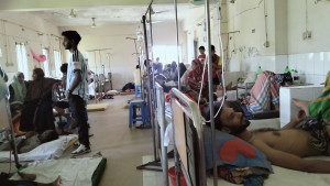 কাপাসিয়ায় ডেঙ্গুর হানা, ৭ দিনে শনাক্ত ৭৪