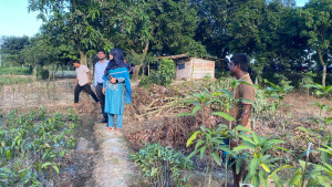 ধামইরহাটে নিষিদ্ধ ইউক্যালিপটাসের ৫০০ চারা ধ্বংস, মালিককে জরিমানা