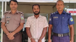 বটগাছ কাটাকে কেন্দ্র করে নারীকে মারধর-শ্লীলতাহানি, গ্রেপ্তার ১