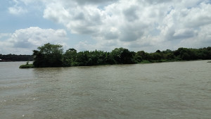 ধাঁধার চরের ২৩৯ একর খাসজমি চান বিএনপি নেতা