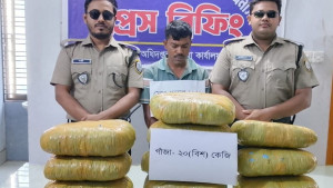 জামালপুরে ২০ কেজি গাঁজাসহ মাদক কারবারি আটক