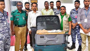 বিমানবন্দরে ১১৬৩ কচ্ছপসহ যাত্রী গ্রেপ্তার