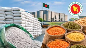 মসুর ডাল ও সার কিনতে সরকারের বড় অনুমোদন