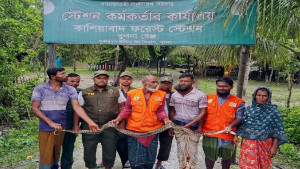 লোকালয়ে ঢুকে পড়া ৮ ফুটের অজগর উদ্ধার, সুন্দরবনে অবমুক্ত