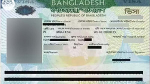 ভিসা পোর্টালে ত্রুটি, বন্ধ নতুন আবেদন