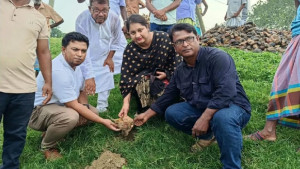 শাহজাদপুরে যমুনার তীর রক্ষা বাঁধে তালবীজ বপন