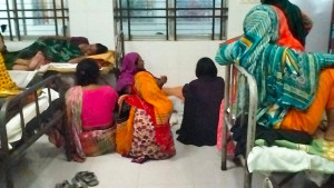 নাটোরে ভিমরুলের কামড়ে বৃদ্ধার মৃত্যু