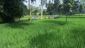 পঞ্চগড়ে স্বামীর মৃত্যুর কয়েক ঘণ্টার পর স্ত্রীর মরদেহ রেললাইনে, পাশাপাশি দাহ