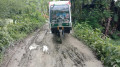 মান্দা-মহাদেবপুর ভাঙা-কাঁচা সড়কে চরম দুর্ভোগে এলাকাবাসী