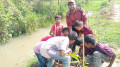 নবাবগঞ্জে শিশুদের হাতে তালগাছের চারা