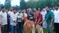 ঝিনাইগাতীতে কূপ খনন করতে গিয়ে নিহত কোচের পরিবারকে গাভী উপহার