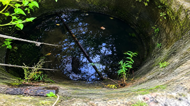 দুই দিন সেপটিক ট্যাংকে, এক ঘণ্টার চেষ্টায় উদ্ধার