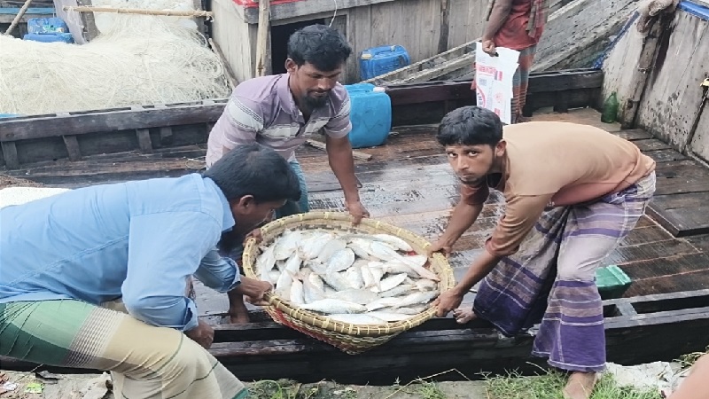নদী-সাগরে কোটি টাকার ইলিশ, জেলেদের ঘরে দেনার বোঝা